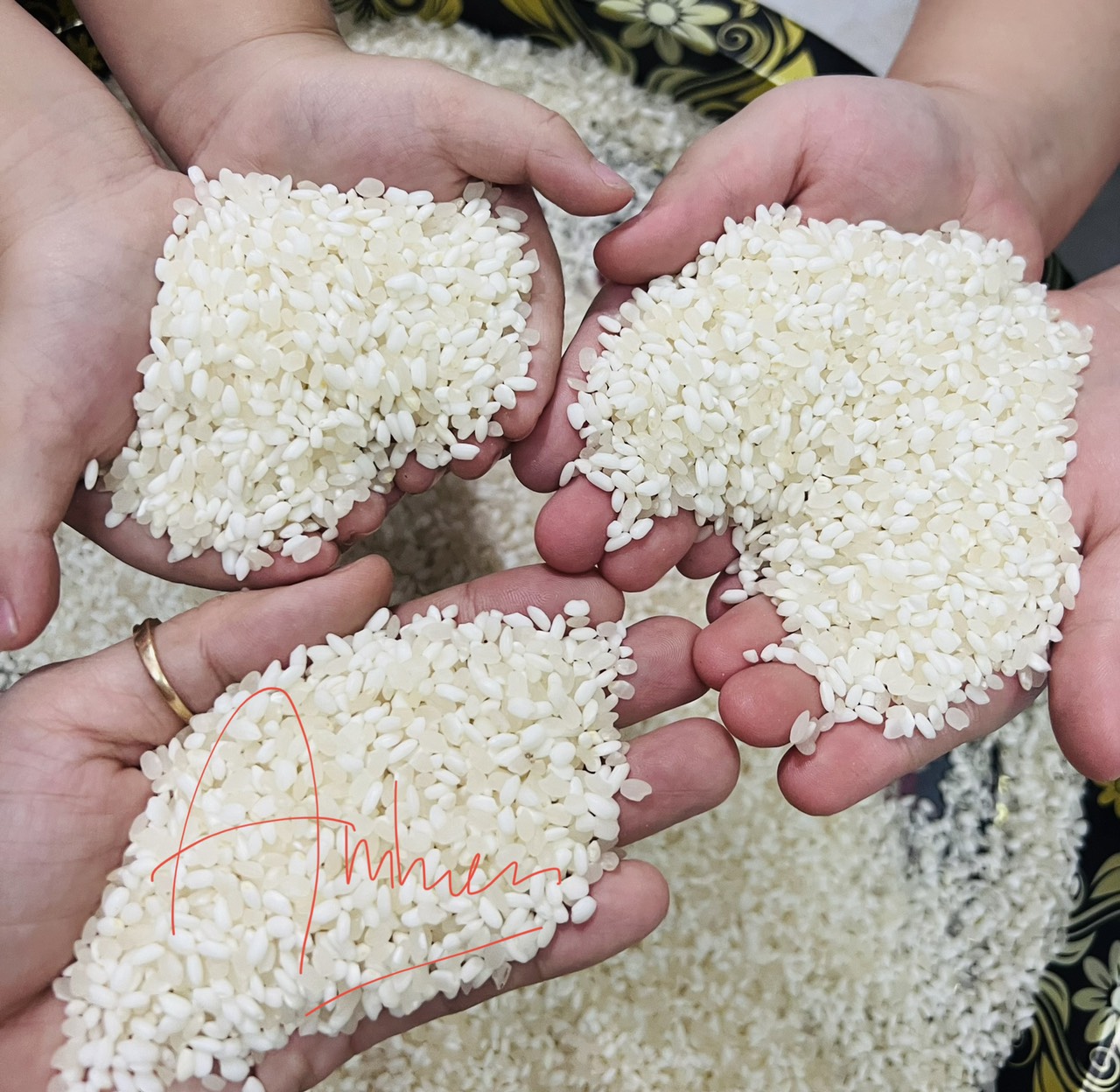 Nếp Lào đặc biệt 1kg