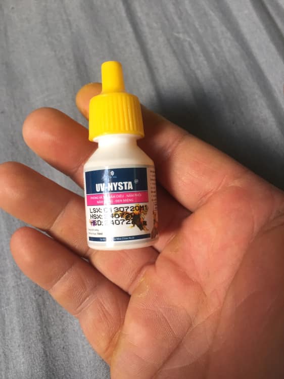 [ Hàng Chính Hãng] UV NYSTA CHAI 10ML Gà Đá Nấm diều, nấm phổi, nấm họng, đẹn miệng