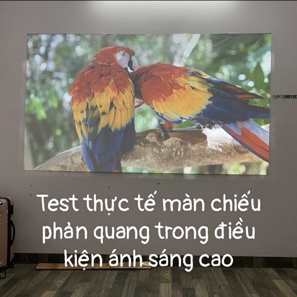 Màn Chiếu Tương Phản Cao Hỗ Trợ Máy Chiếu chất lượng