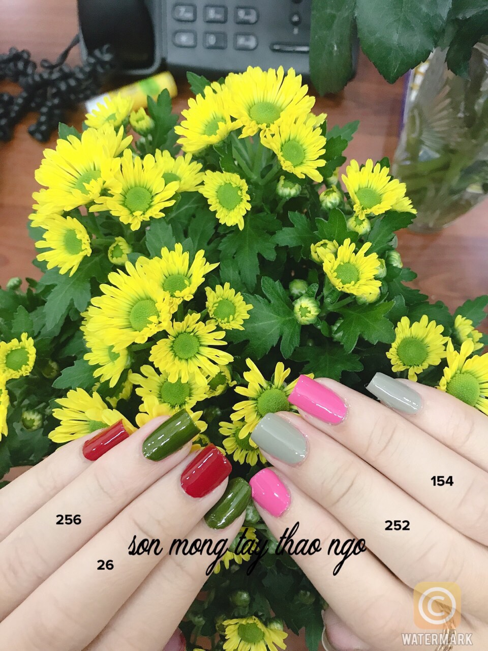 Bộ 5 đế đỡ móng mẫu, tập vẽ, có nam châm