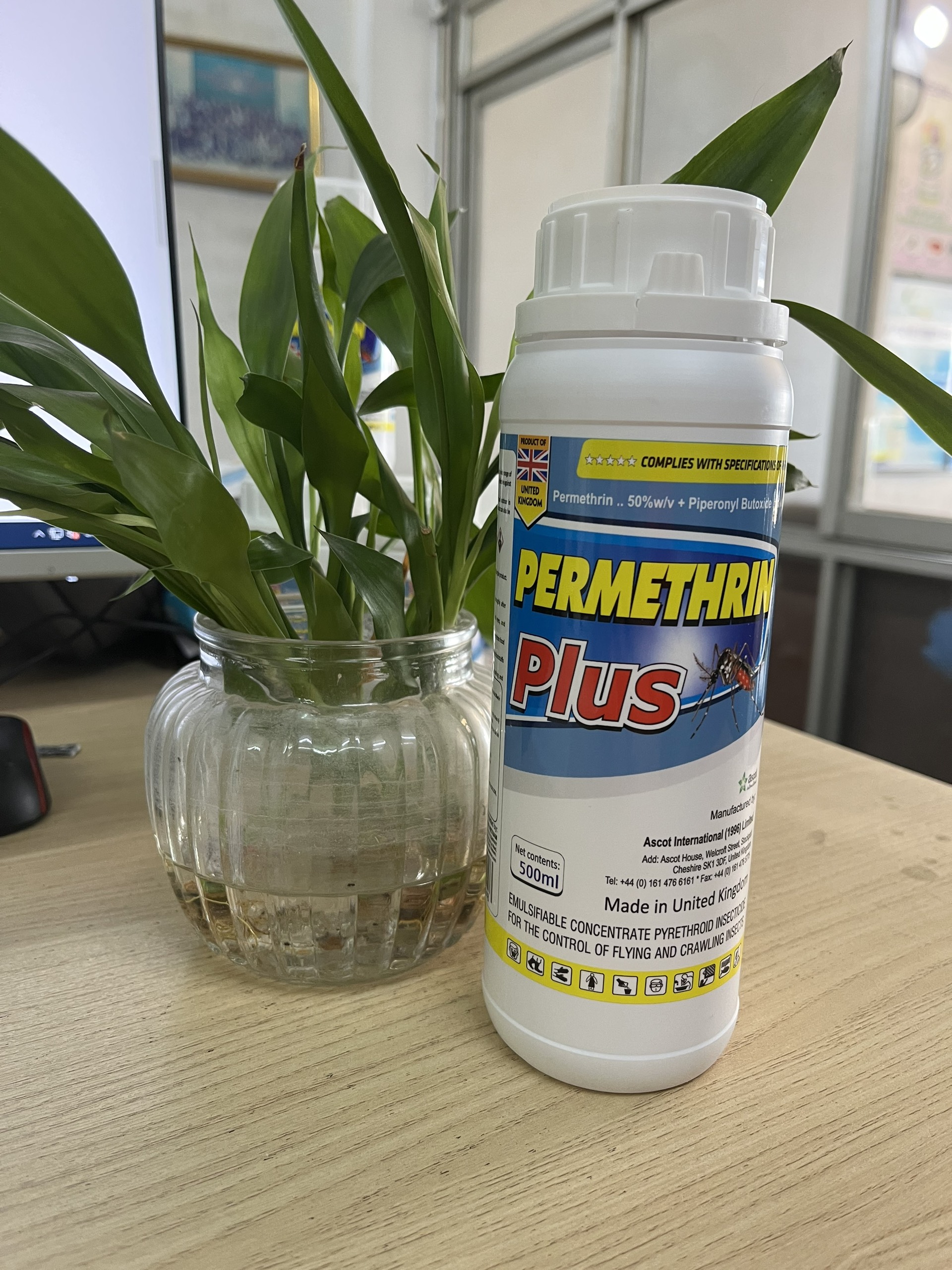 Thuốc diệt muỗi Anh Quốc Permethrin Plus 50EC chai 500ml