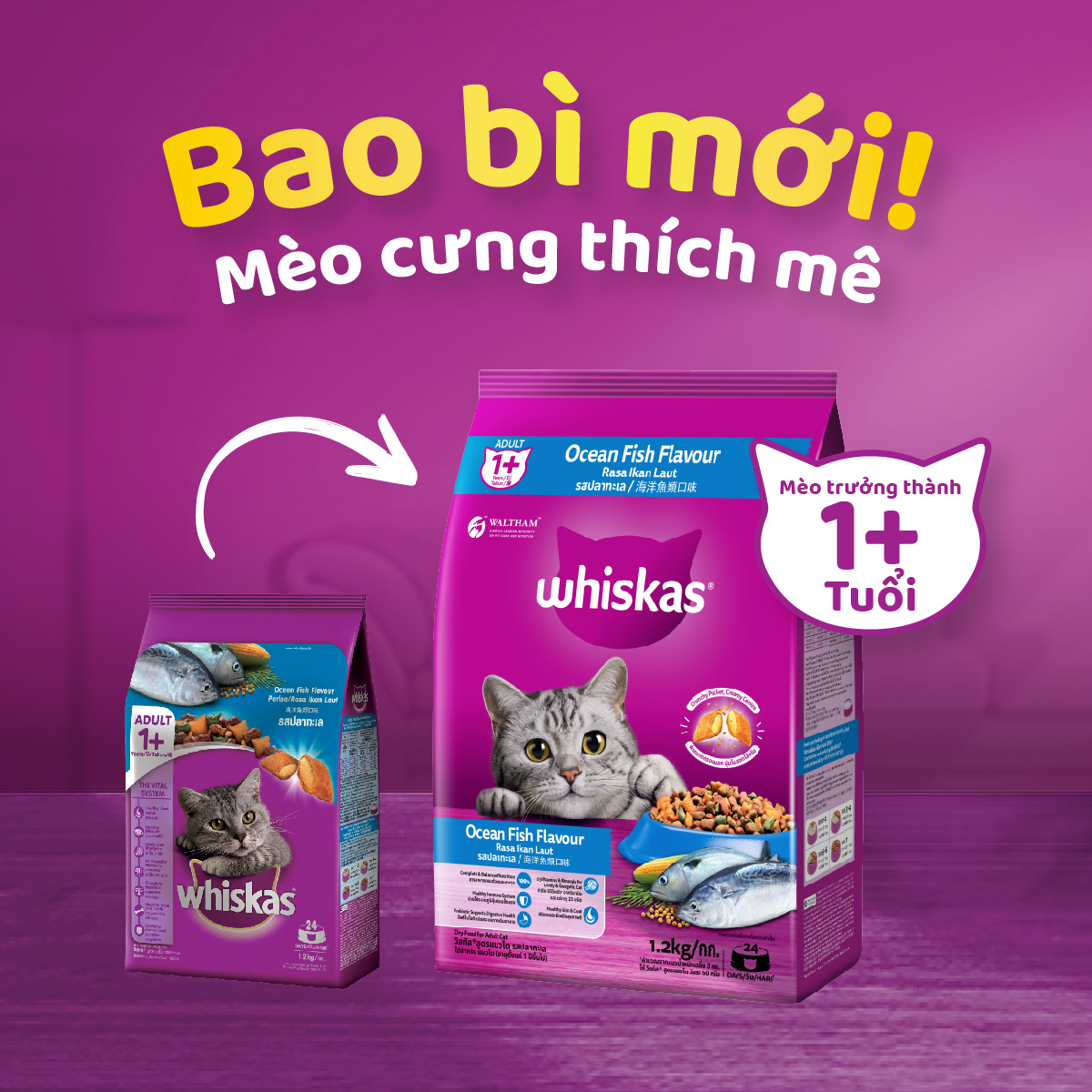Thức ăn cho mèo Whiskas 400g