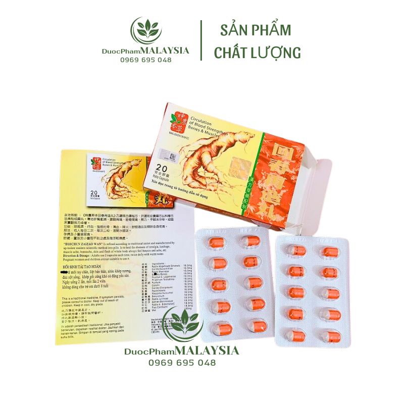 Nhân sâm hồi sinh tái tạo – hỗ trợ bồi b.ổ khí h.uyết,...