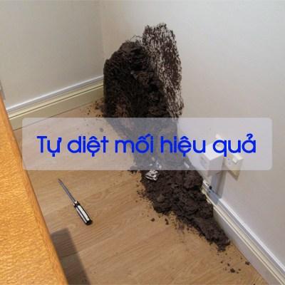 Combo 3 chai Thuốc diệt mối tận gốc PMC 90 dạng bột 100gram