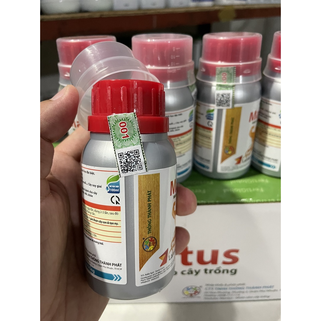 Mantus - Nhân Sâm Cây Trồng (Kỹ sư Thái - Giải Pháp Nông Nghiệp)