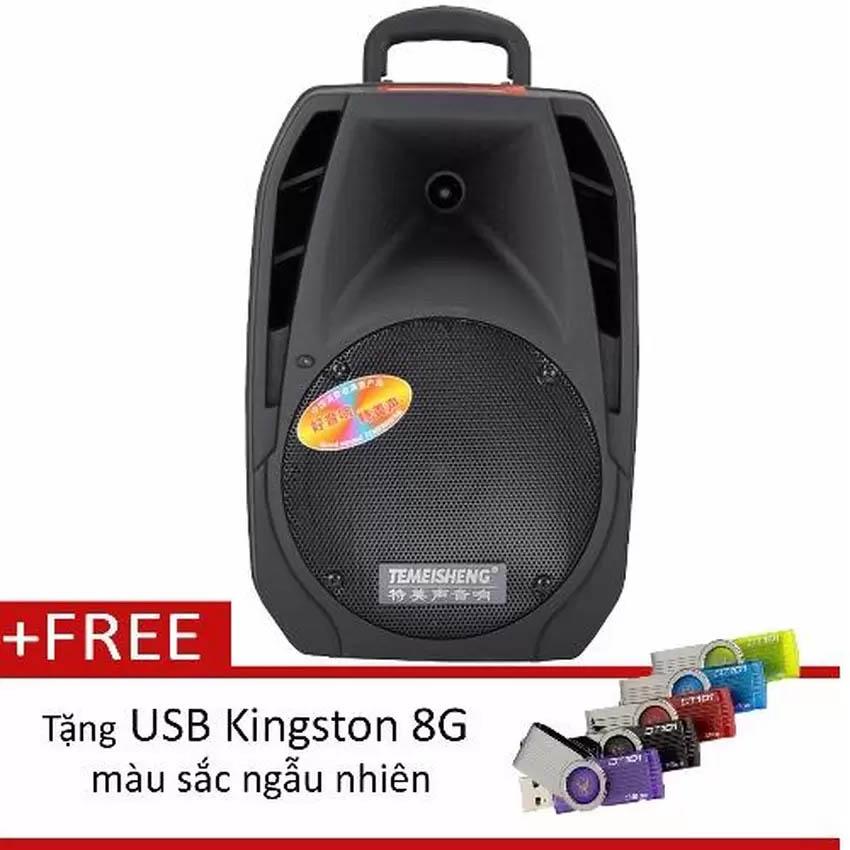 [HCM]Loa kéo Bluetooth Temeisheng A25 (2 tấc) + 1 micro + USB Kingston (Đen)
