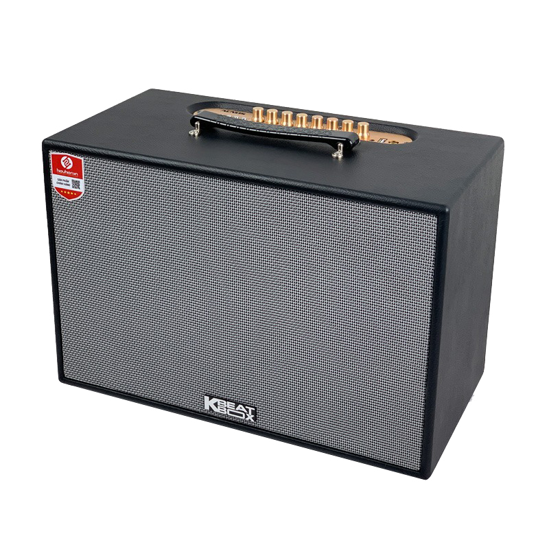 Loa Karaoke di động Acnos CS2501PU