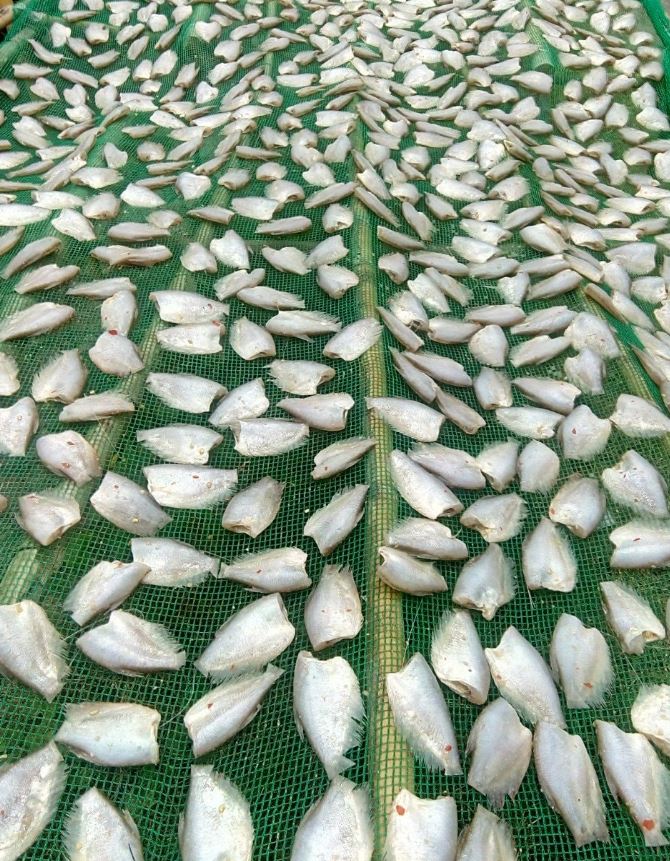 Khô cá Sặc Bướm Đồng 100gr dùng thử