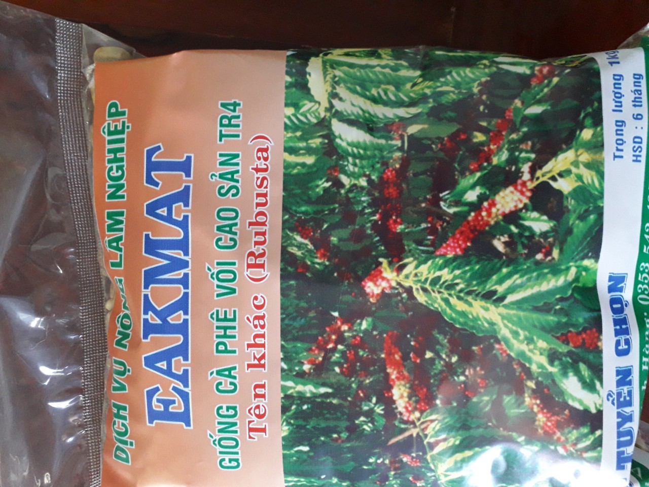 1 KG Hạt giống Cây Cà Phê TR4 [ hạt tuyển chọn, tỷ lệ nảy mầm cao ]