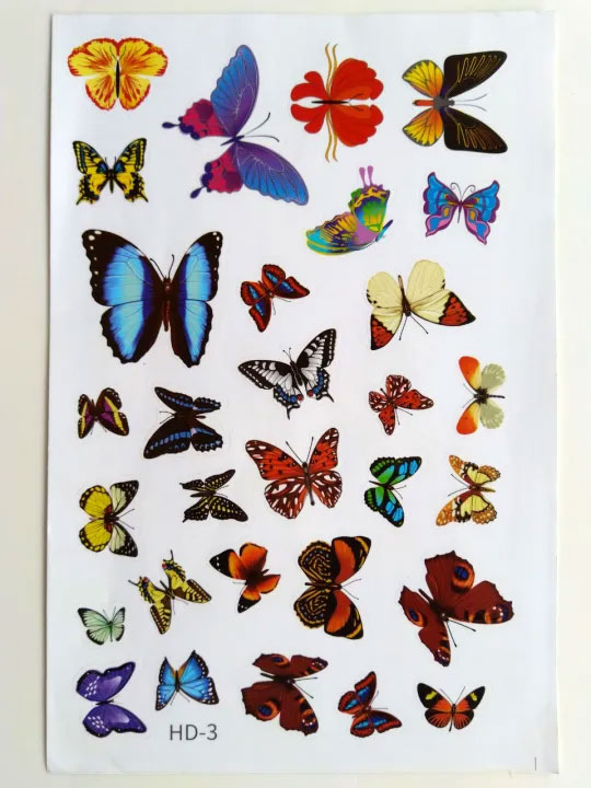 Sticker bướm dán trang trí tường - Decal dán tường