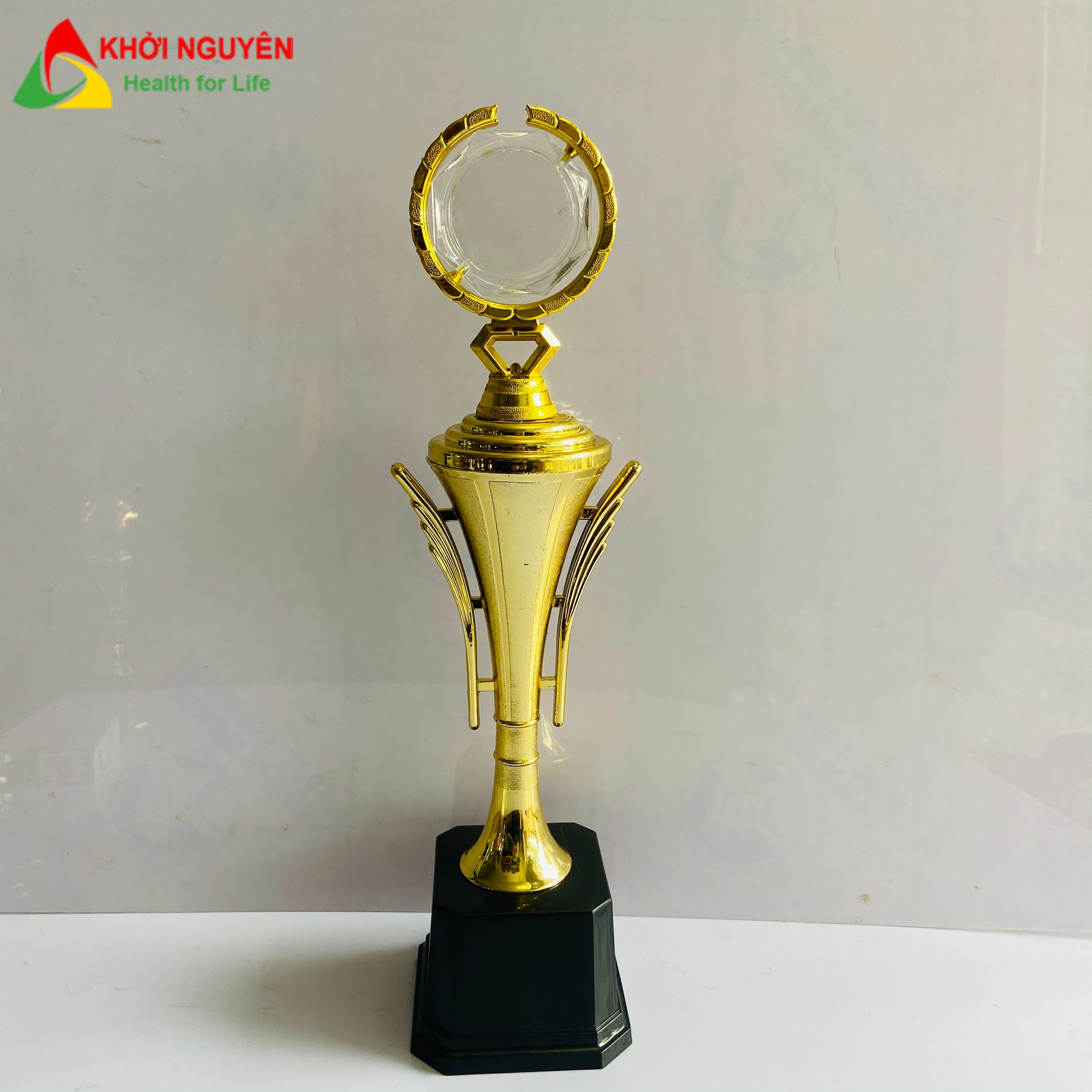 CÚP NHỰA GIÁ RẺ 8002 làm lưu niệm, trao thưởng trong các giải thi trường học, giải đấu trò chơi, game online