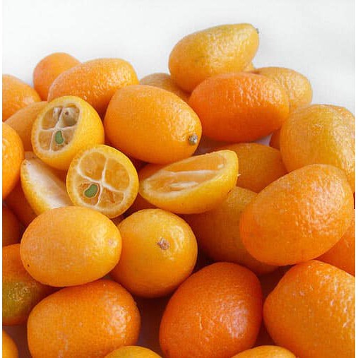 Cây giống Tắc Mỹ ( tắc ngọt)