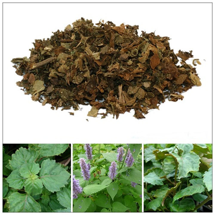 Cây hoắc hương 1kg