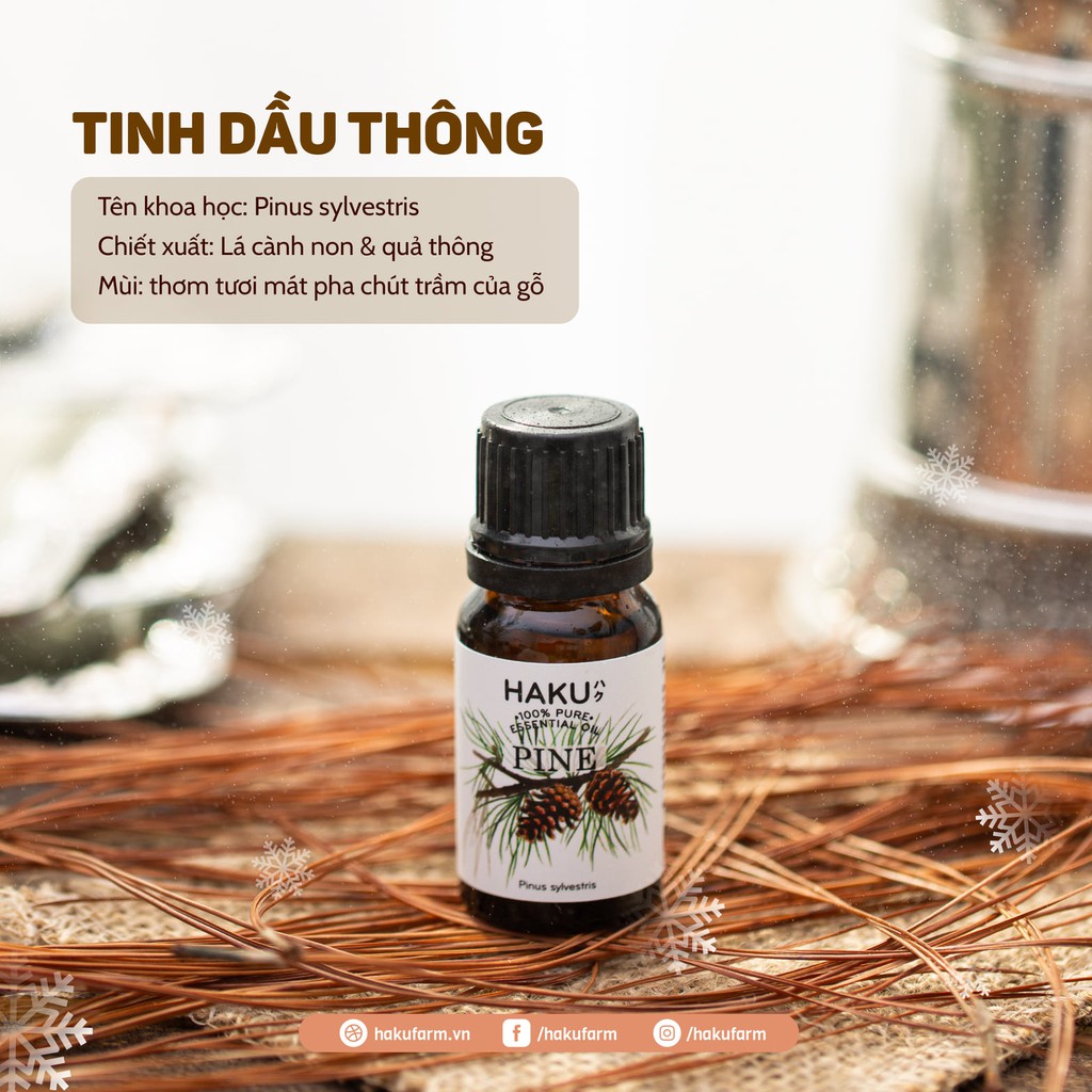 Tinh dầu Thông Pine