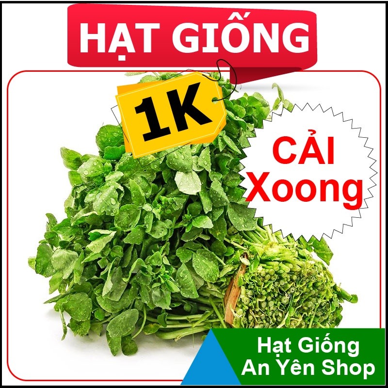Hạt Giống 1K Xà Lách Xoong, nhanh thu hoạch, dễ trồng, nảy mầm và năng suất cao