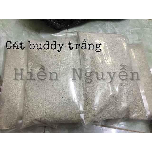 Buddy trắng lót chuồng [Hamster]