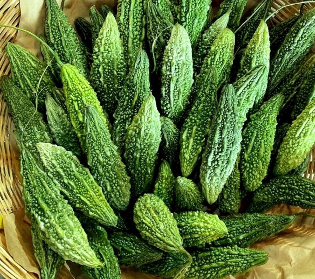 Hạt Giống Khổ Qua Rừng (Mướp Đắng Rừng)