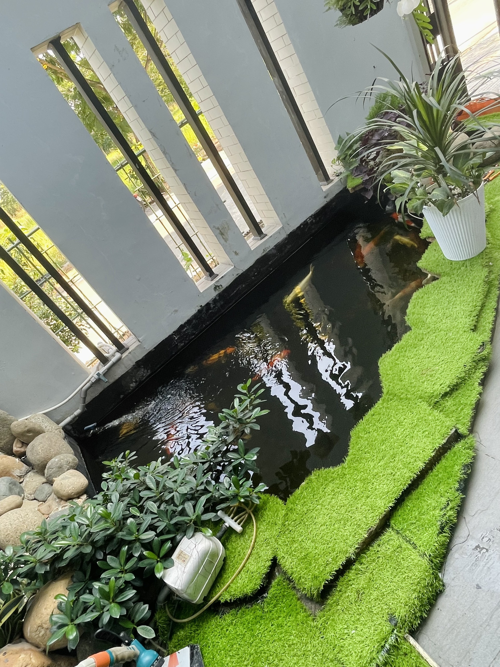 Thảm cỏ nhân tạo khổ 2 x0.5met