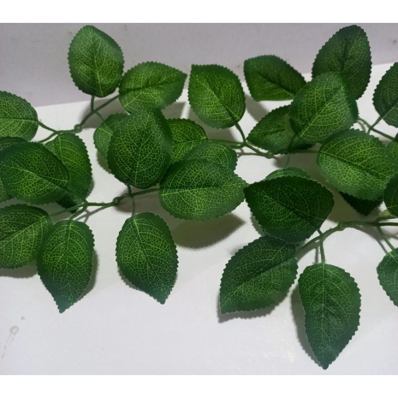 100g Lá hoa hồng vân