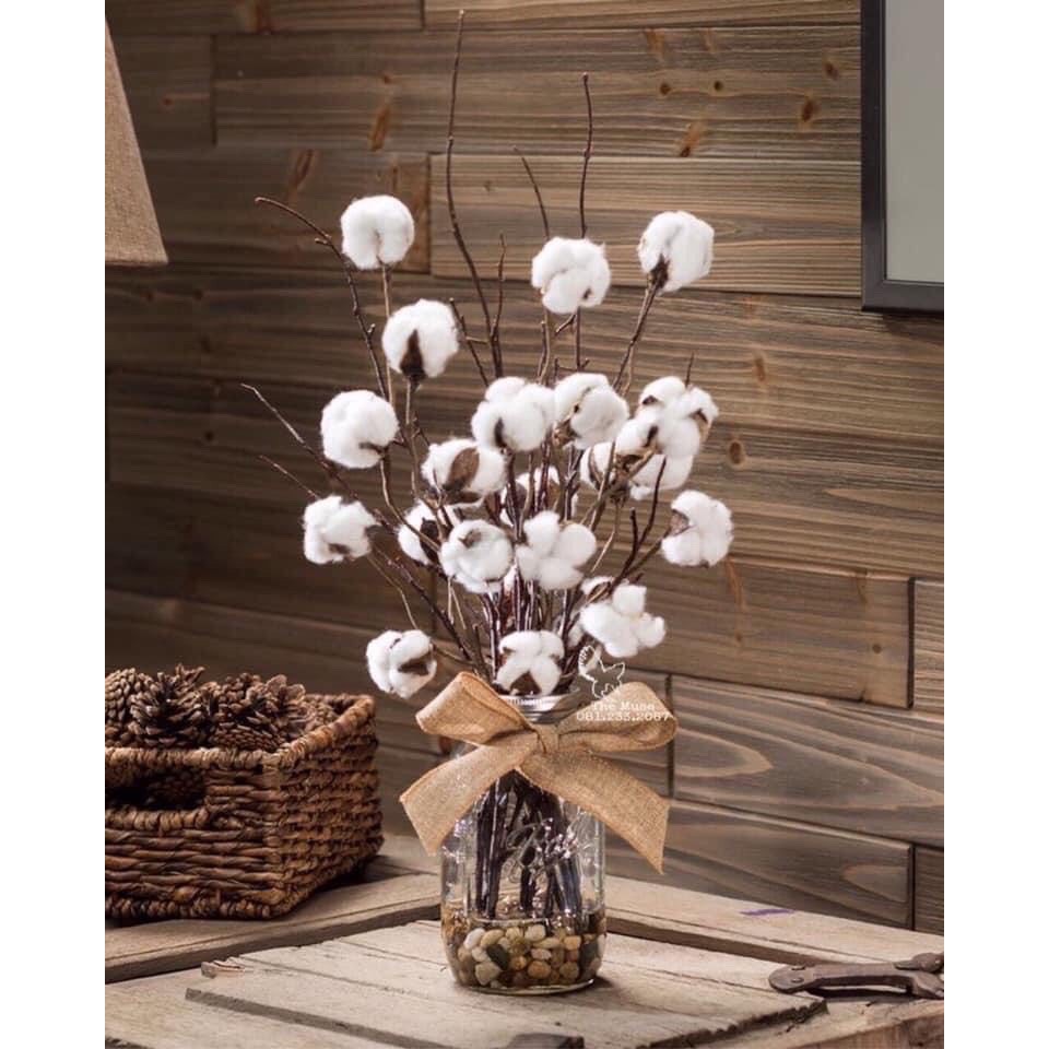 [HCM]CÀNH BÔNG GÒN TỰ NHIÊN  TRANG TRÍ CHỤP ẢNH ĐẠO CỤ CHỤP HÌNH SẢN PHẨM AC970