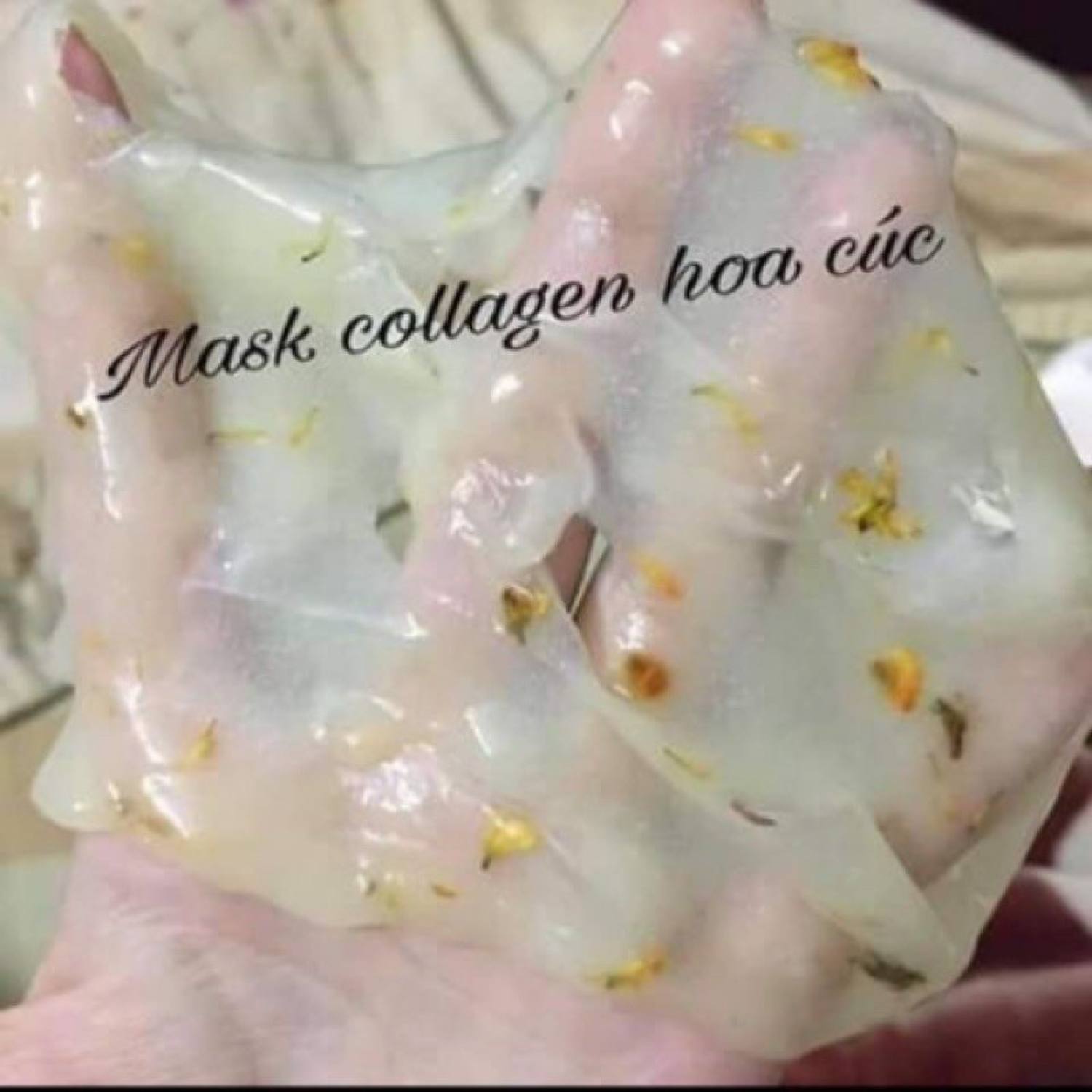 1kg Bột đắp mặt Dẻo cánh Hoa cúc Handmade