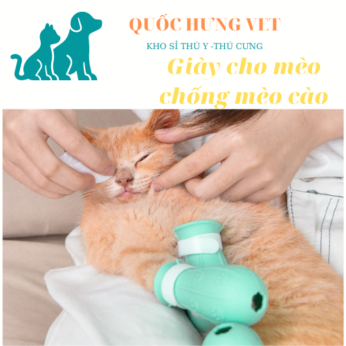 Miếng bọc chân cho chó mèo - QUỐC HƯNG VET