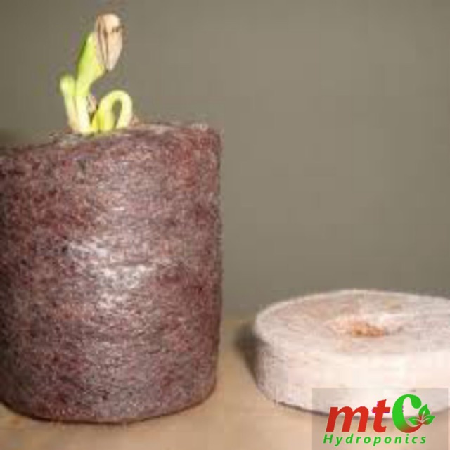 [HCM]10 Viên Nén Ươm Hạt Mụn Dừa - NẢY MẦM 99%