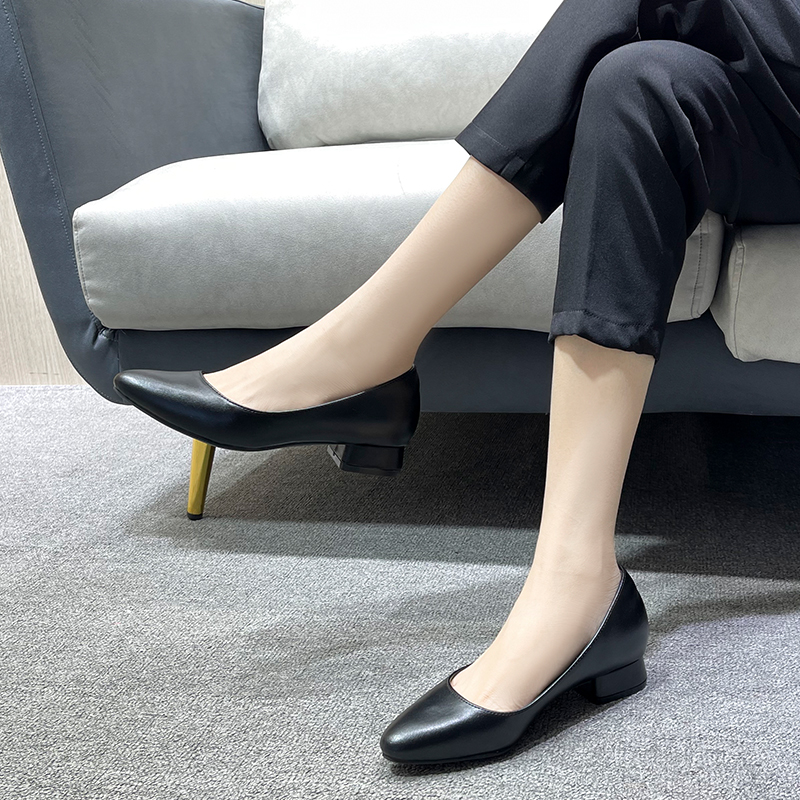 [HCM]Giay Búp Bê 3 cm Mũi Nhọn Da mờ