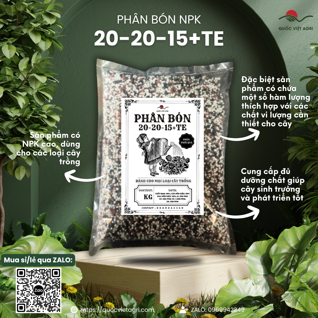 Phân bón NPK 20-20-15+TE CHÂU ÂU (gói 1KG)