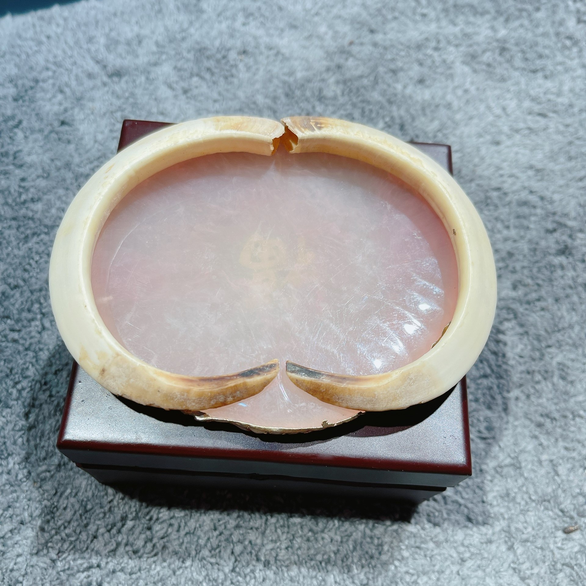Mặt dây chuyền nanh heo rừng màu ngà - thắng giang