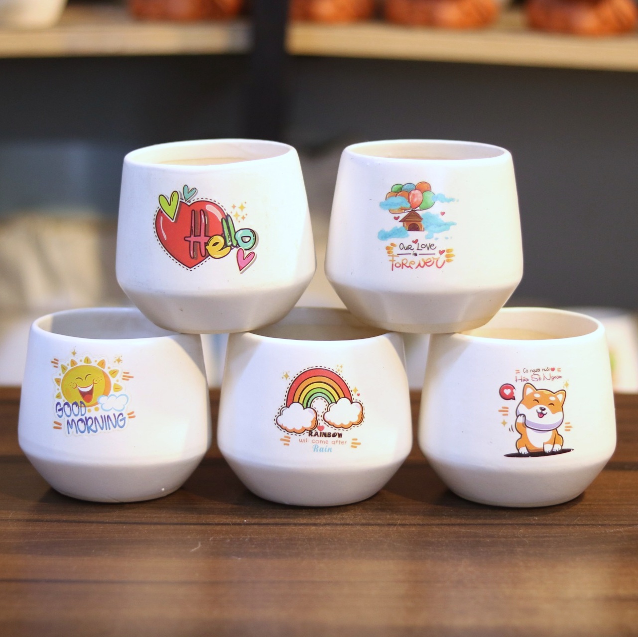 Chậu Sứ Trồng Cây Mini, Sen Đá, Xương Rồng Hình Kim Cương Cao