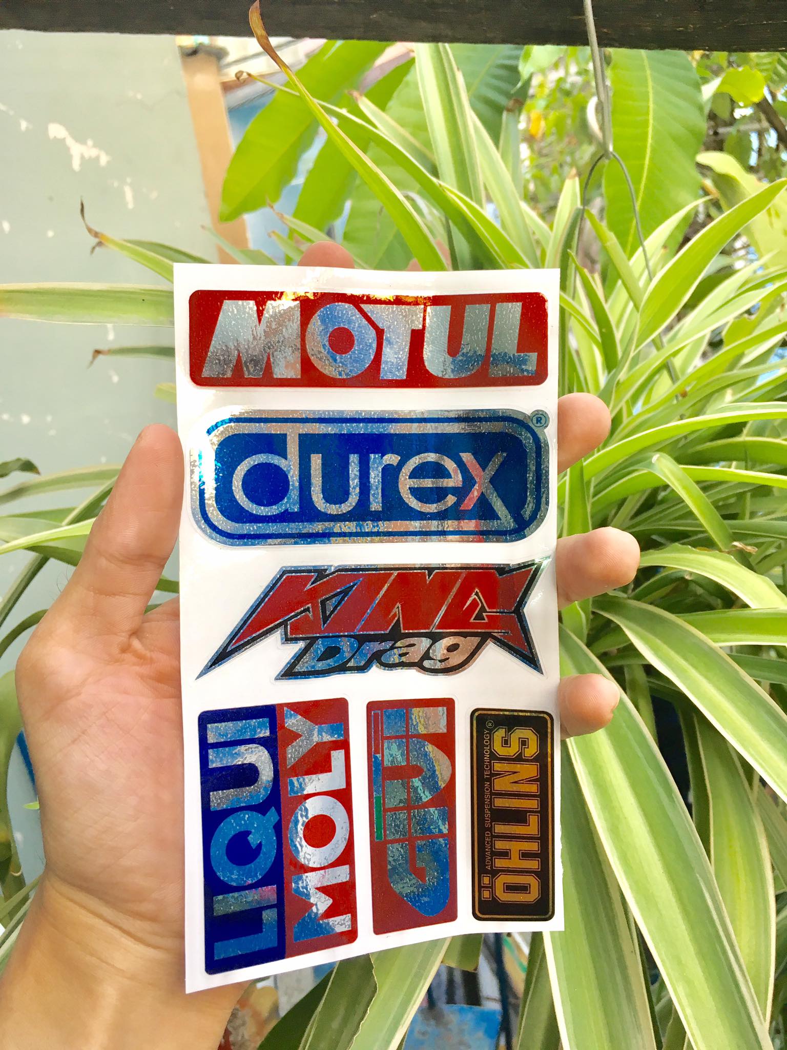 [HCM]TEM LOGO SI CROM KING DRAG MOTUL DUREX