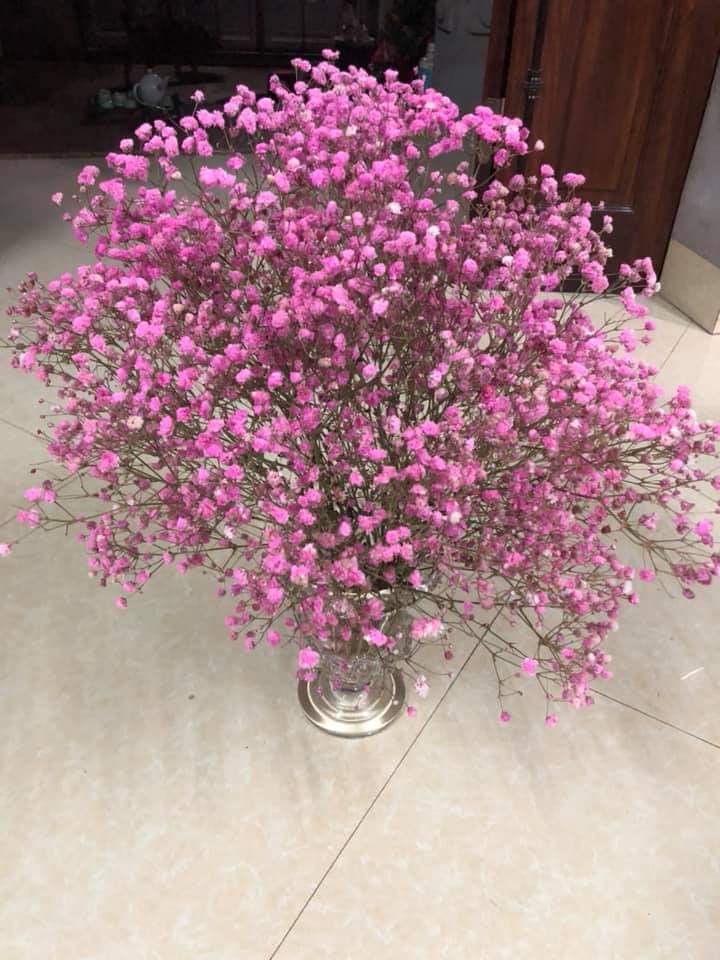 Ly cắm hoa, phật thủ thủy tinh cỡ nhỡ 25x20 cm