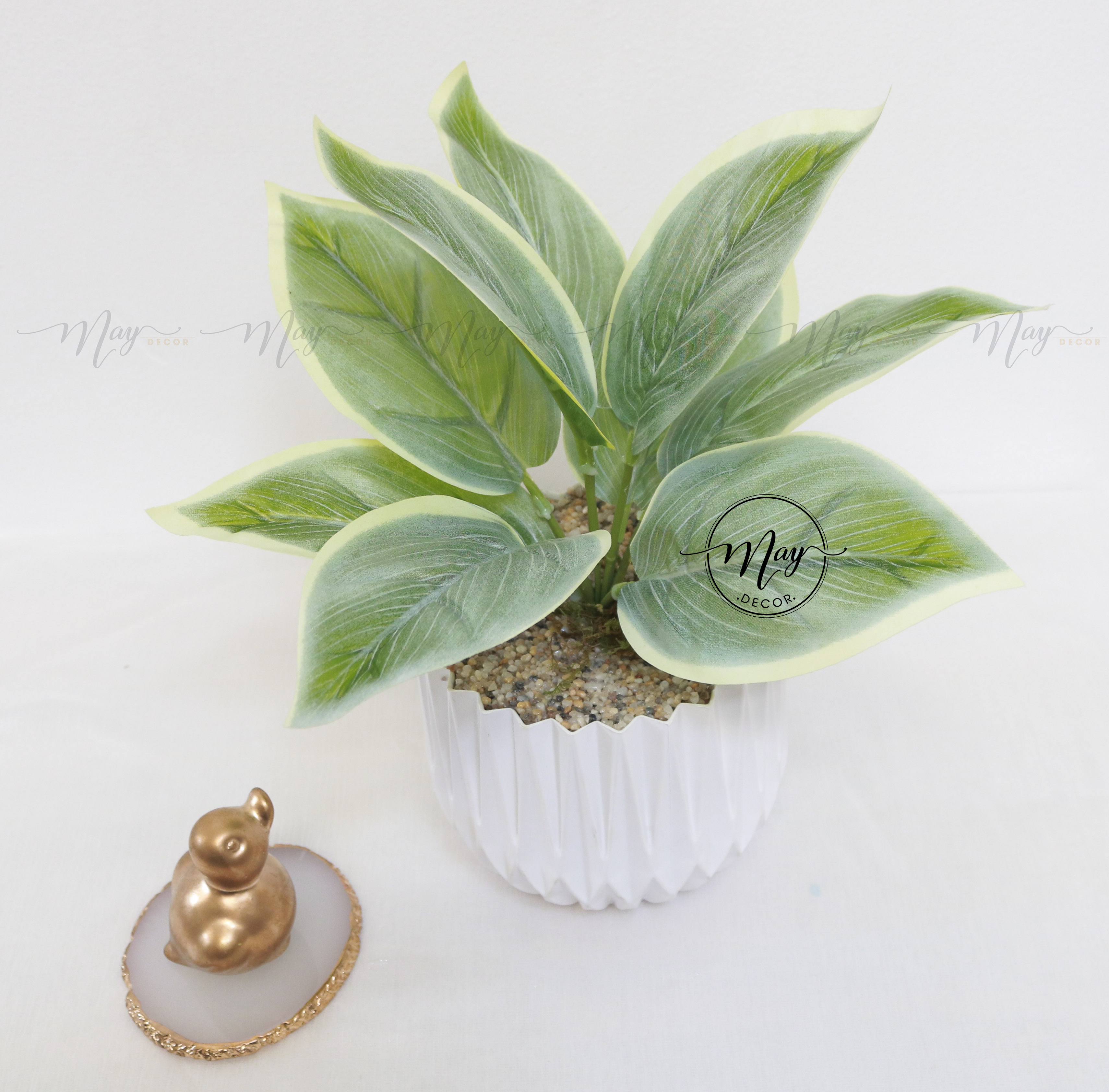 Cây giả decor, Chậu cây Bạch Mã hoàng tử, Môn Đốm, Cúc PingPong chậu kim cương