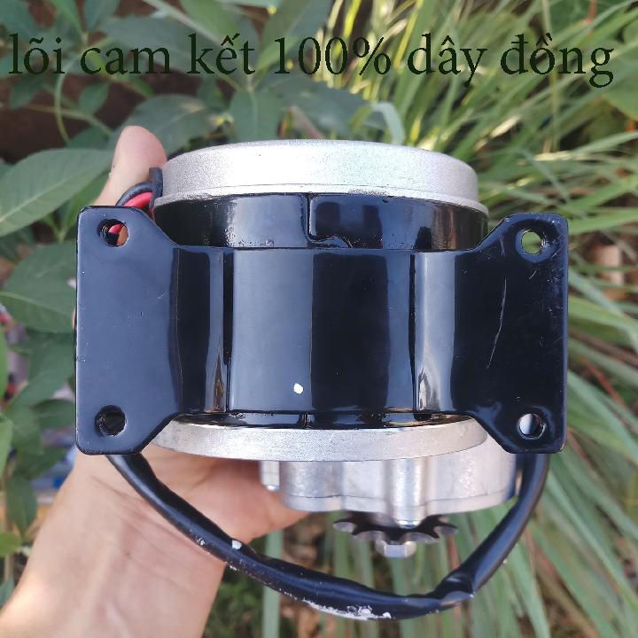 motor giảm tốc 12v 250w