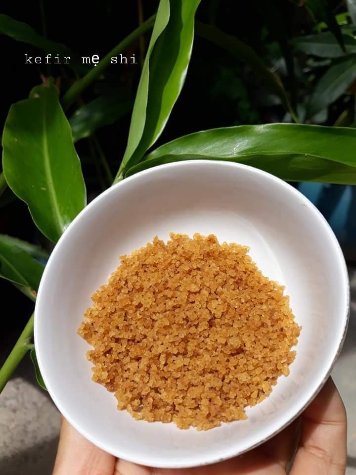 nấm water kefir đông khô...
