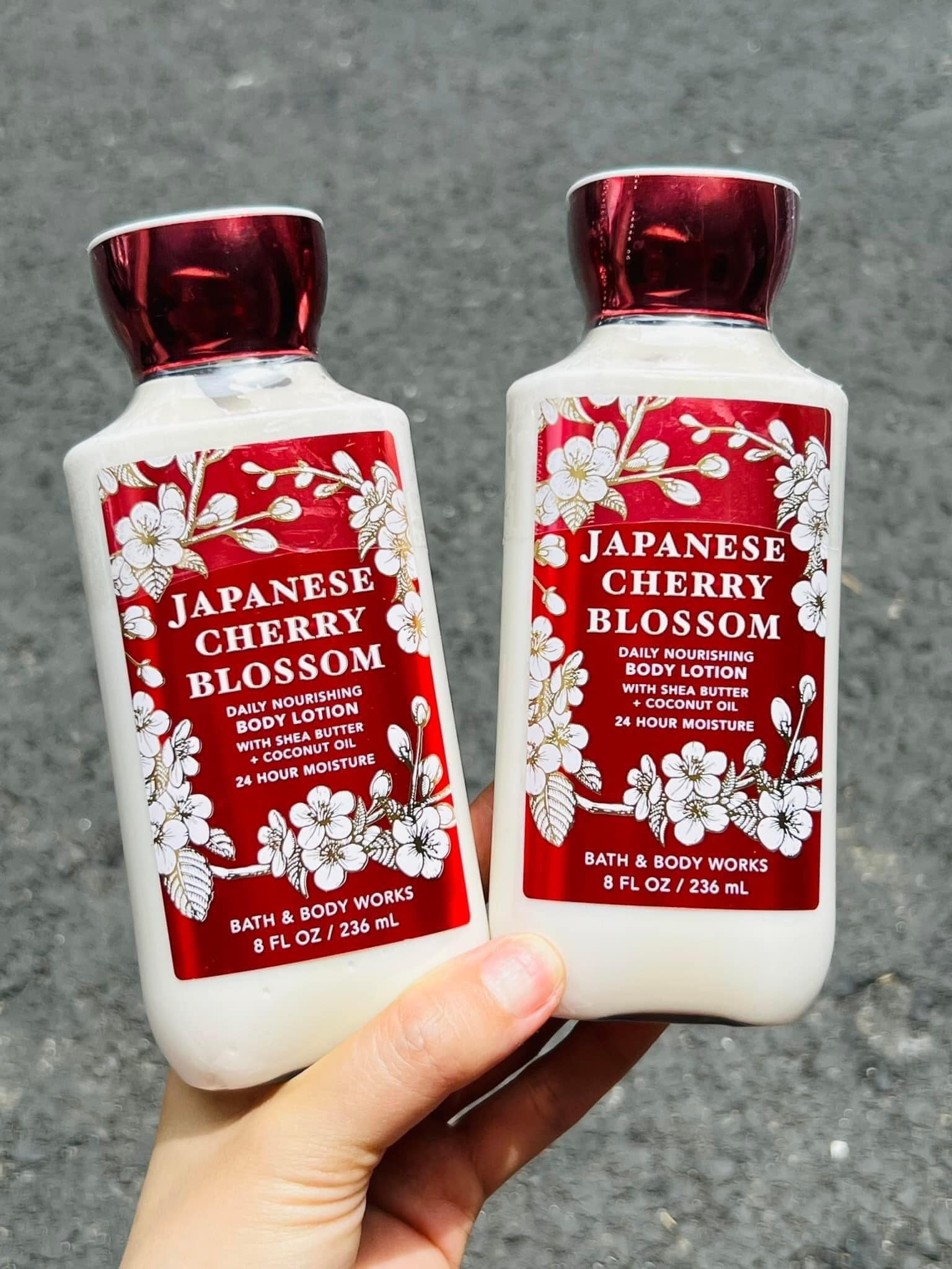 Dưỡng thể Bath & Body Work Japanese Cherry Blossom 8oz