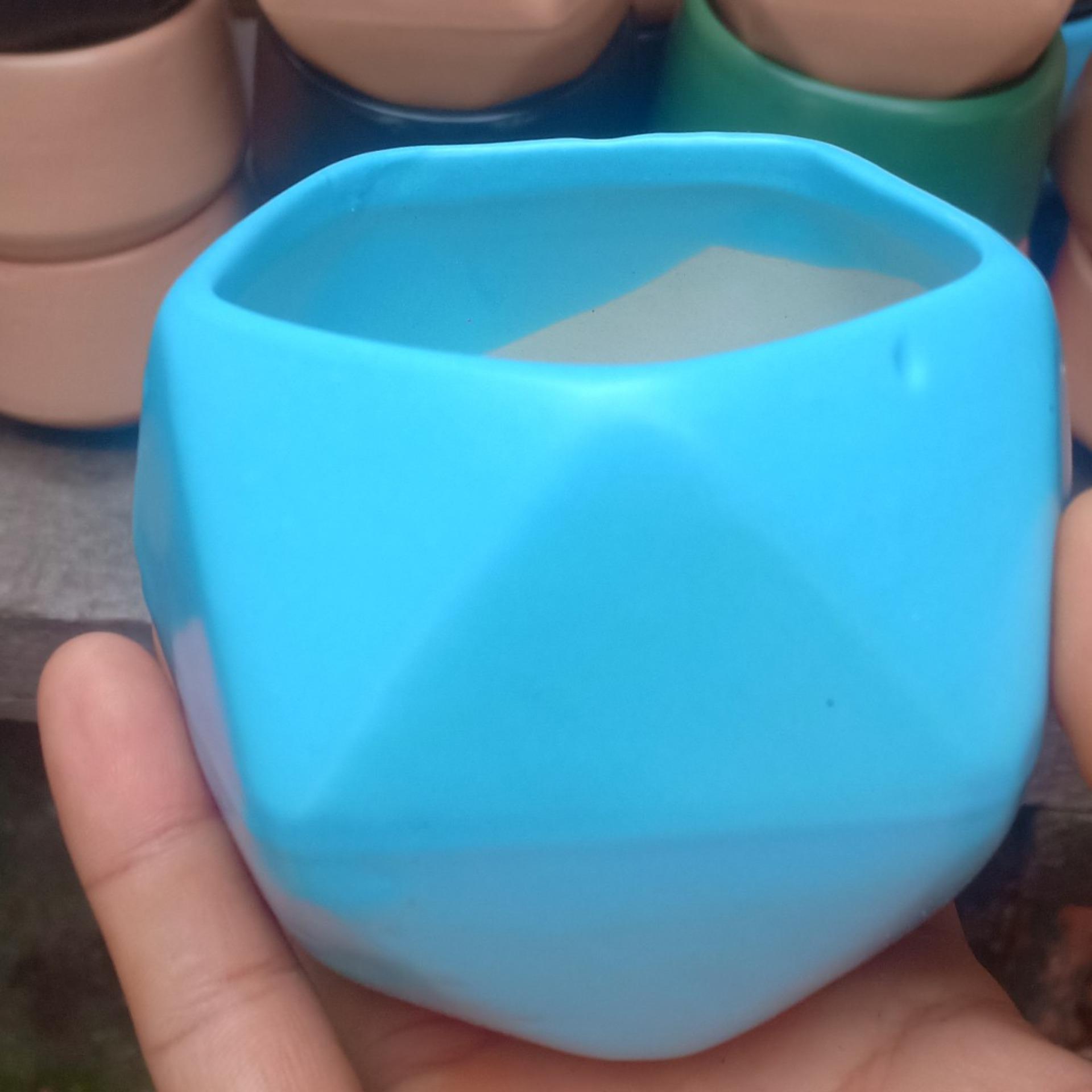 Combo 3 Chậu sen đá ( cả cây và chậu )