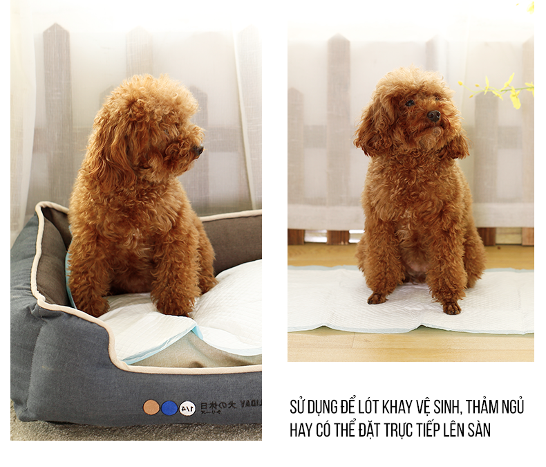 [LẺ 10 CÁI - SIZE S] TÃ GIẤY ĐỂ CHUỒNG CHO THÚ CƯNG - MADDIE PETSTORE