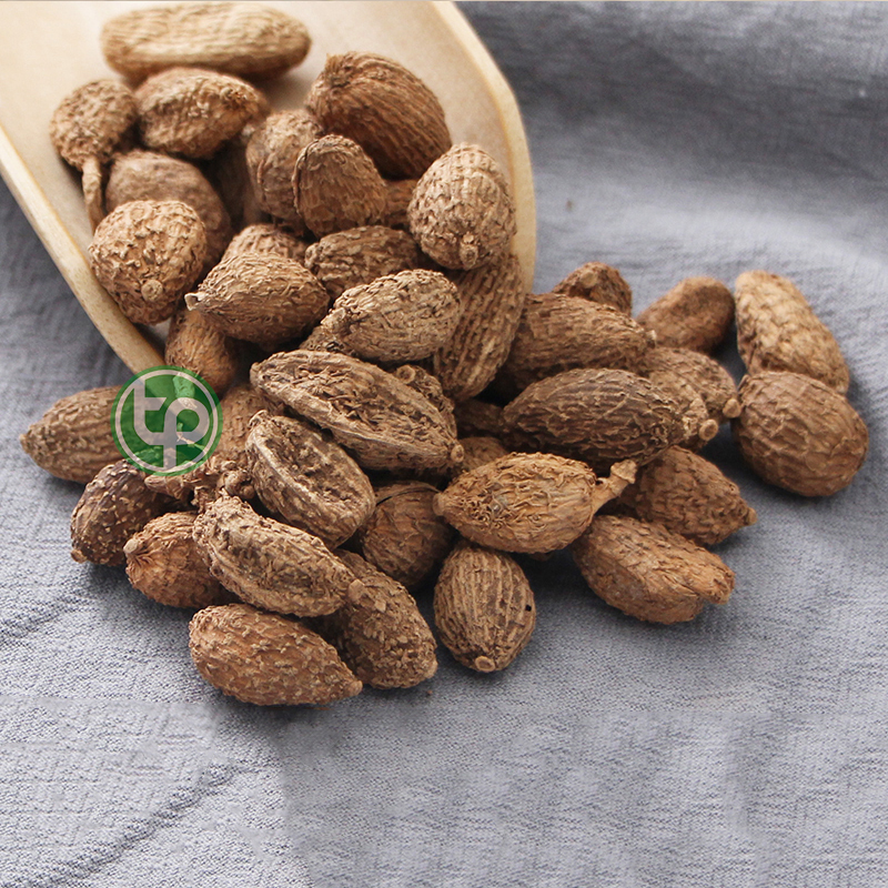 Quả sa nhân sấy khô 100g - Tấn phát - hỗ trợ cải thiện khả năng hô hấp cực kỳ hiệu quả