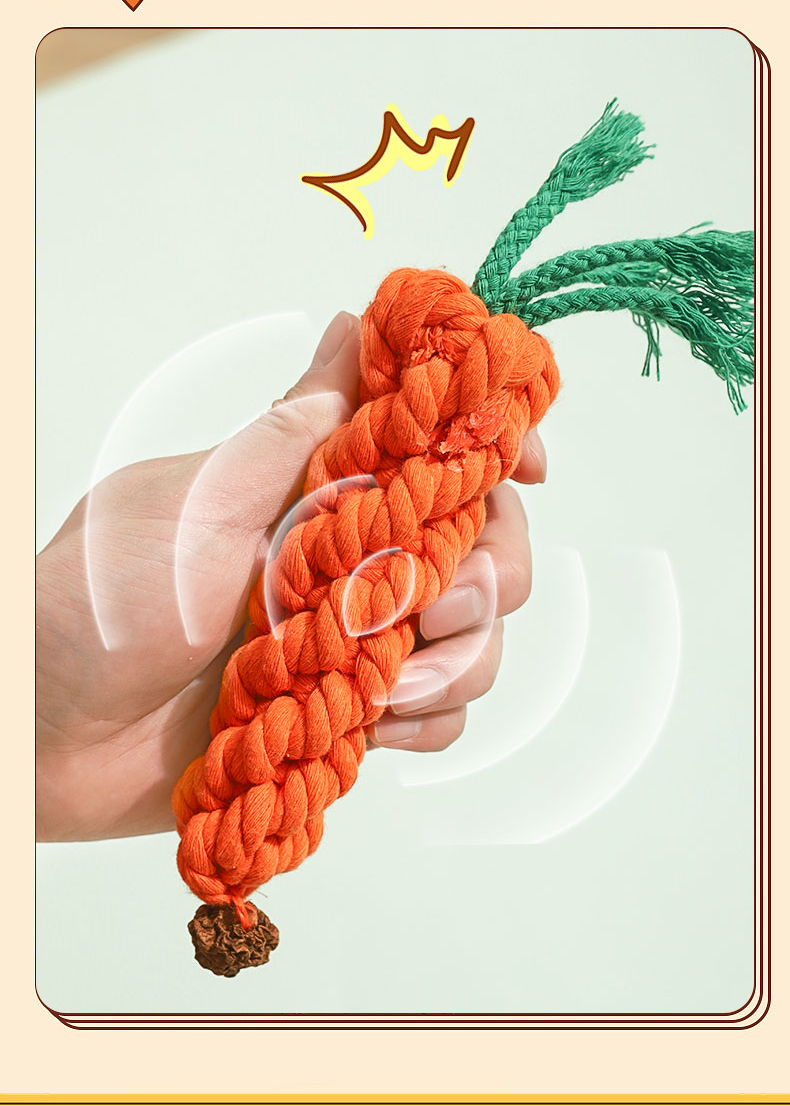 đồ chơi chó mèo - cà rốt thừng cho chó mèo - T3 PETS SHOP