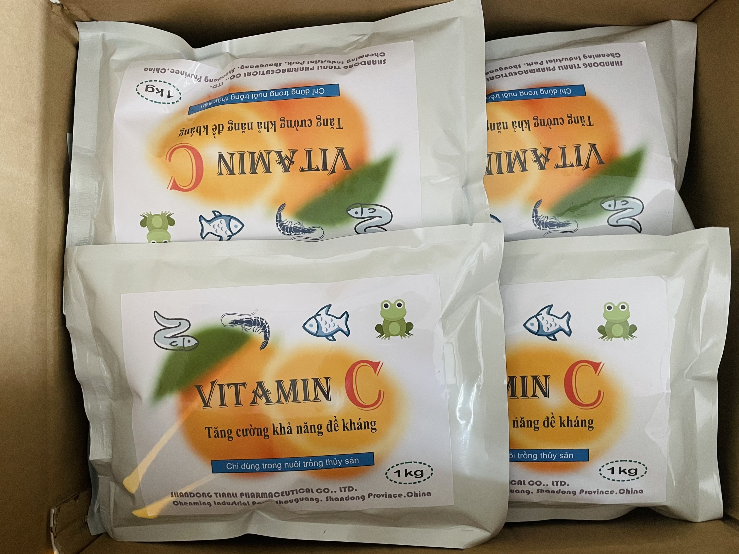 vitaminn c cho tôm cá ếch lươn, cá koi