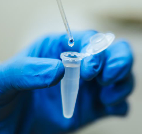 Ống Eppendorf - Ống ly tâm các cỡ 0.5ml, 1.5ml, 2ml