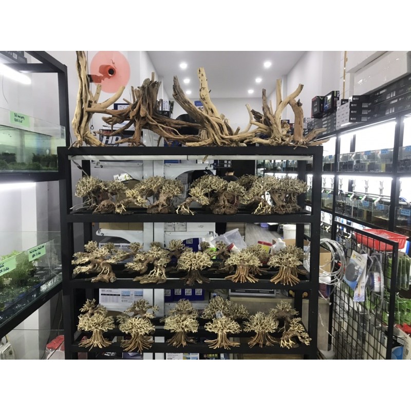 Lũa Bonsai Trang Trí Bể Thuỷ Sinh, Cá Cảnh