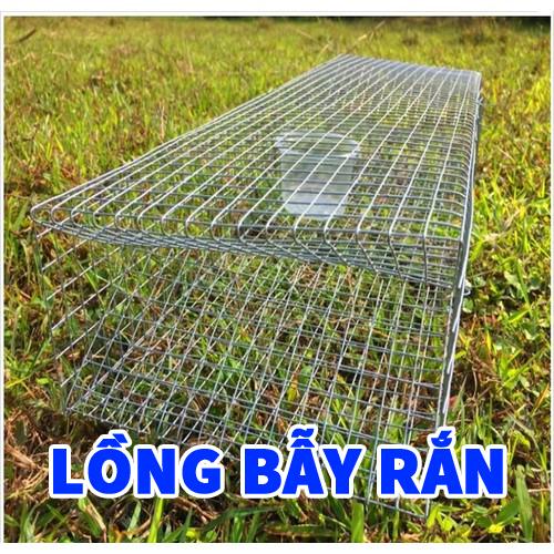 Lồng bẫy rắn thông minh