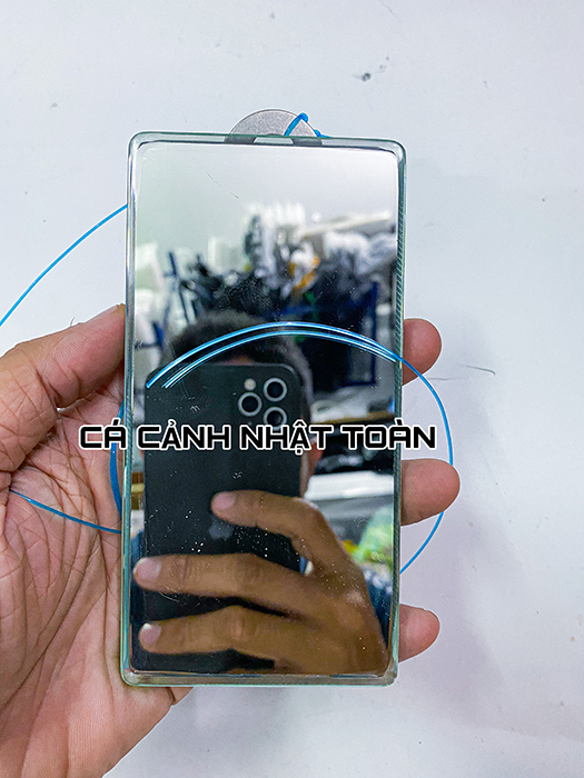 "hoàn tiền đến 10%" kính kè la hán cá sung iphone cao cấp