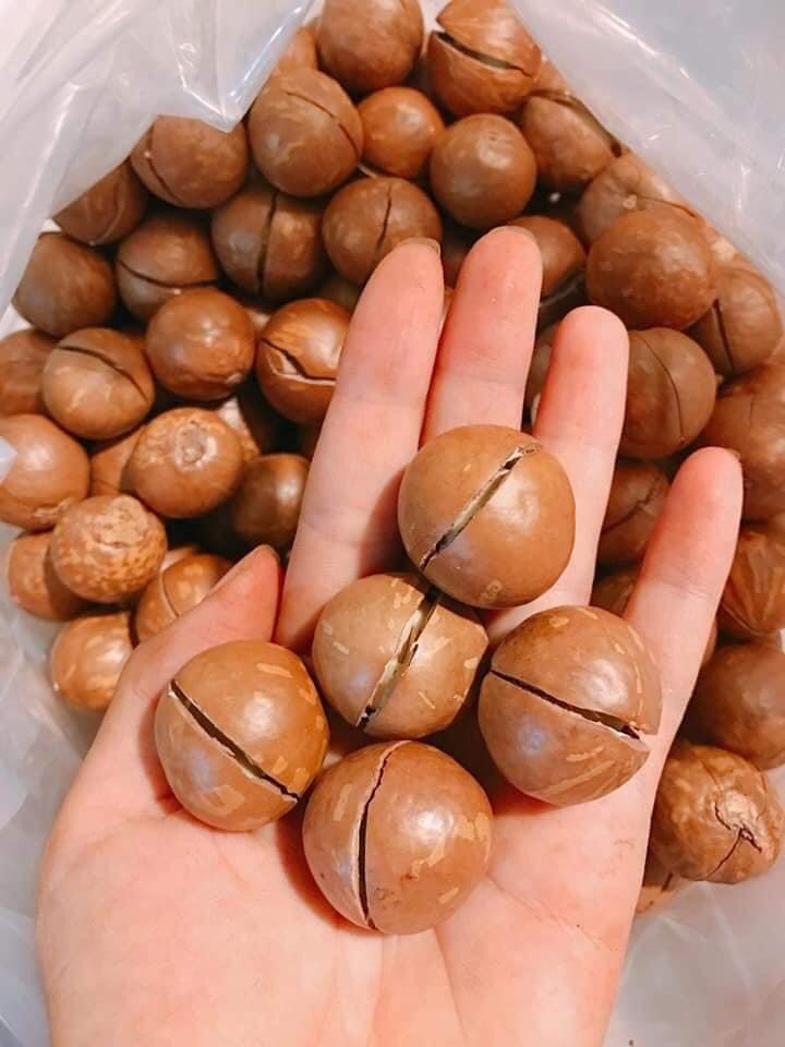 Hạt Macca 500gr Nứt Vỏ Tự Nhiên