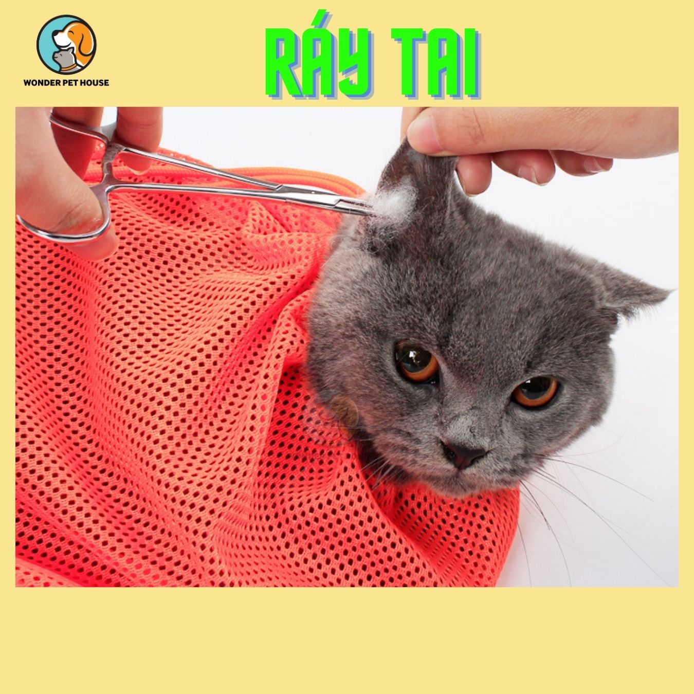 Túi Lưới Tắm - Cắt Móng Cho Mèo Đa Năng