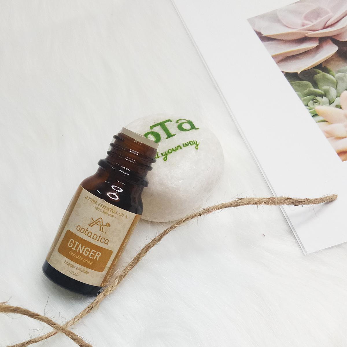 Tinh dầu gừng Aotanica