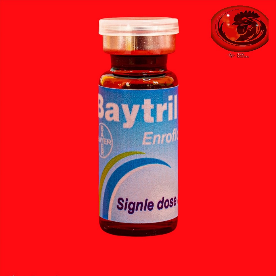 BAYTRILL MAX 10% khò khè, tiêu chảy gà đá 10ml